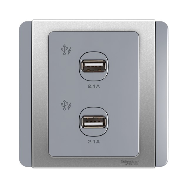 Outlet Data Schneider NEO – 2 x 2.1A USB Charger – Grey Silver