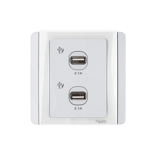 Outlet Data Schneider NEO – 2 x 2.1A USB Charger – White